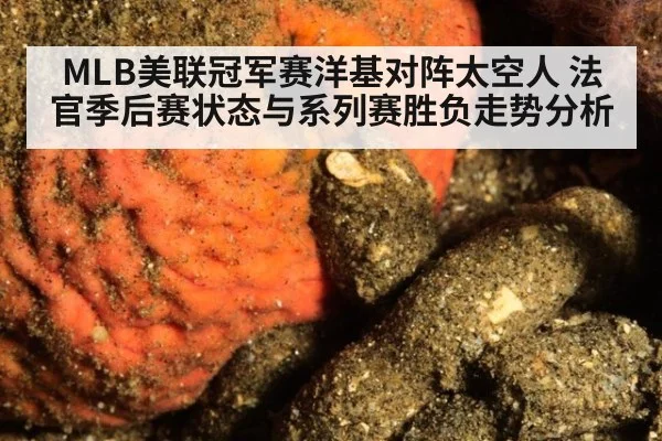 MLB美联冠军赛洋基对阵太空人 法官季后赛状态与系列赛胜负走势分析